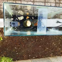 آکواریوم|ماهی|تربت‌حیدریه, ۴۵ متری|دیوار