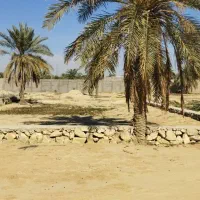 فروش-زمین-روستای-چاهخانی