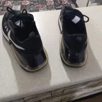 کتونی|کیف، کفش، کمربند|فردیس, فردیس|دیوار