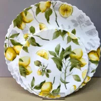 آرکوپال ۲۵پارچه مقصود