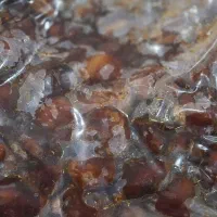 خرمای گنتار محمدخلیلی