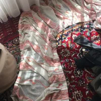 دو عدد یالان پرده معاوضه با پرنده