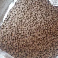 نخود بذری یکدست