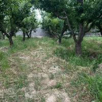فروش-باغ-1-100-متری-کرج-سهیلیه