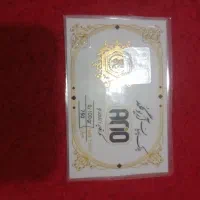 سکه پارسیان