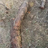 آره شارژی|ابزارآلات|خدا آفرین, |دیوار