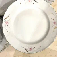 ۱۲ عدد بشقاب و  ۶ عدد خورشت خوری چینی