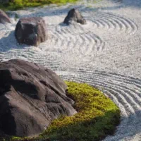 باغبانی .درخت کاری.کاشت واجرا . محوطه سازی.|خدمات باغبانی و درختکاری|کرج, باغ سیب|دیوار