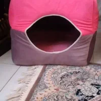 لانه حیوانات