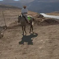 نریون چهار ساله سواری عالی پر انرژی