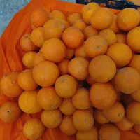 پرتقال پست نازوک