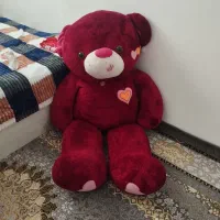 خرس قرمز یک نیم متر