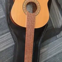 گیتار پارسی p80 با کاور