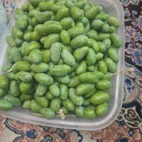 زیتون سبز|خوردنی و آشامیدنی|شیراز, طلاب|دیوار