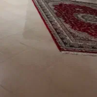 حراجی مناسب تا فرداشب