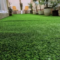 چمن مصنوعی (دست دو) تمیز