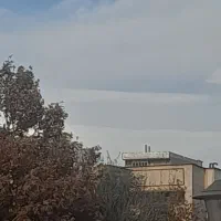 ویلایی-بر-رشد-طول-بر-جهت-ساخت-یک-طبق-تجاری