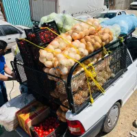 کارگر ساده افغانی مدارک دار جهت کار سورت بار