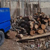 خرید وفروش چوب ونهال