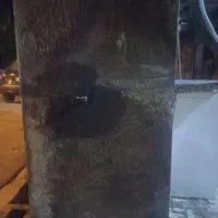 تانک‌ویخچال مایلر‌