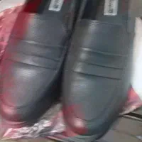 کفش مجلسی