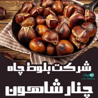 بلوط دامی . آرد بلوط