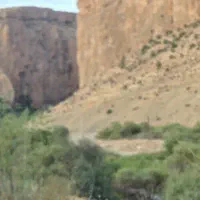 زمین چنار سنقر