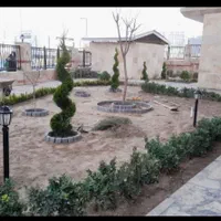 باغبانی گل کاری درخت کاری هرس