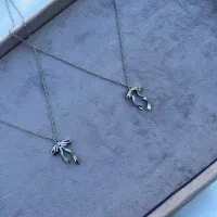 بدلیجات رایس|بدلیجات|سمنان, |دیوار