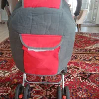 کالسکه دوقلو