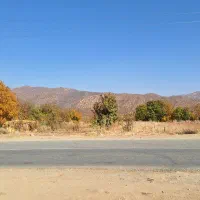 زمین کشاورزی ینگیجه|فروش زمین و ملک کلنگی|خاو و میرآباد, |دیوار