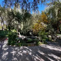 اجاره کلبه چوبی|اجارهٔ کوتاه‌مدت ویلا و باغ|هشتگرد, کوشک زر|دیوار