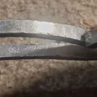 ایاطلاسفید همیشه