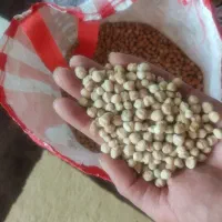 نخود زودپز .‌‌.تازه امسال