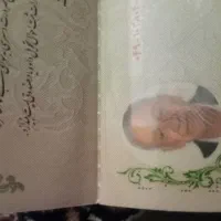 شناسنامه پیداکردم داودشیرازی خواه