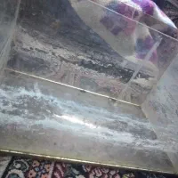 آکواریوم  ماهی