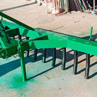 مانگرـ بانگور ـ درمغ