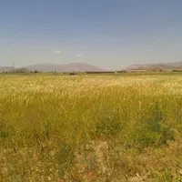 زمین جهت سرمایه گذاری معاوضه با ملک مرند.جلفا|فروش دفتر صنعتی، کشاورزی، تجاری|مرند, |دیوار