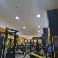 منشی باشگاه سانس آقایان