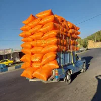کاه گندم تحویل