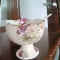 بستنی خوری همراه سینی