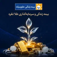 بیمه طلا و نقره