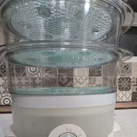 بخار پز تفال(اصل)