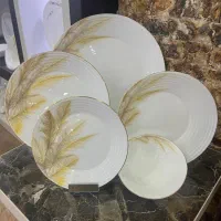 سرویس ارکوپال گلدن اوپال شیک و لاکچری وبه روز|ظروف سرو و پذیرایی|آفتاب, |دیوار