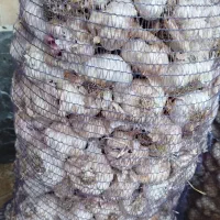 سیر|خوردنی و آشامیدنی|اهر, |دیوار