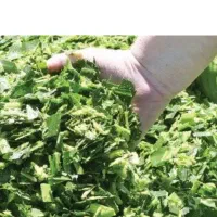 علوفه درجه 1تضمینی|لوازم جانبی حیوانات|روانسر, |دیوار