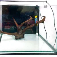 اکواریوم *چراغ اکواریوم*ابنوس*بخاری|ماهی|قم, بکایی|دیوار