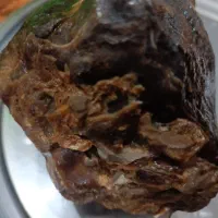 سنگ چوب فسیل شده|کلکسیون اشیاء عتیقه|خرمآباد, |دیوار