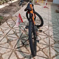 دوچرخه فونیکس حرفه ای کوهستانی|دوچرخه، اسکیت، اسکوتر|پاکدشت, پاکدشت (مامازند)|دیوار