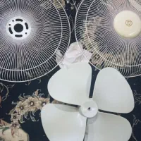 حراج|حراج|چابهار, |دیوار